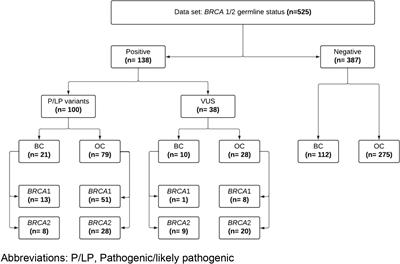 Landscape of germline BRCA1BRCA2 variants in breast and Biology Diagrams